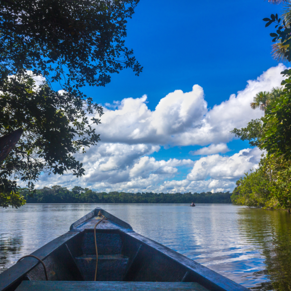 TARAPOTO: MISTICO